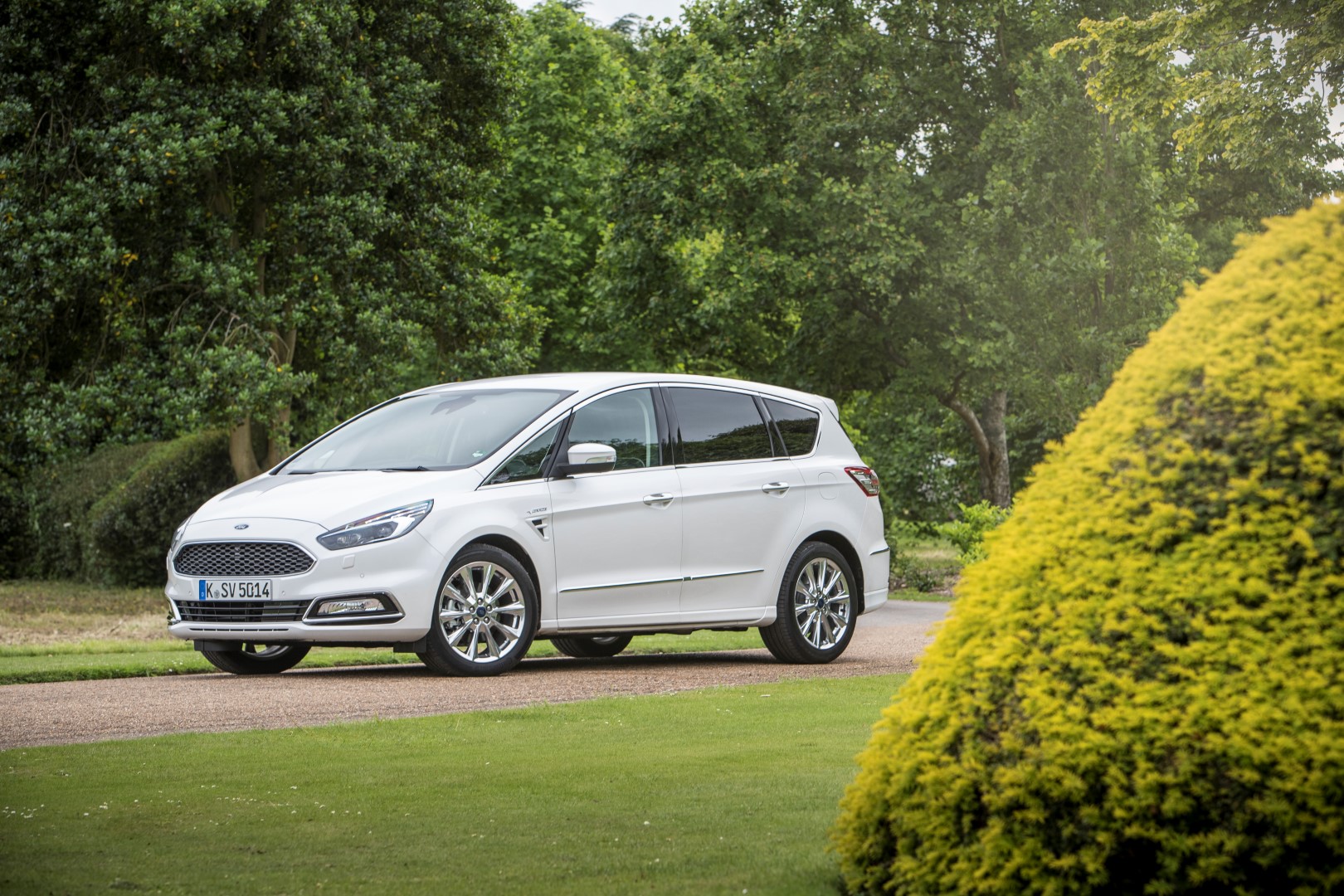 Ford s Max 2017 Blue